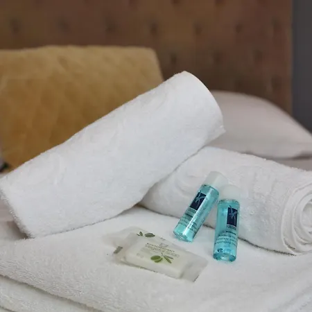 Service - En Face Du Musee - 5 * Parigi